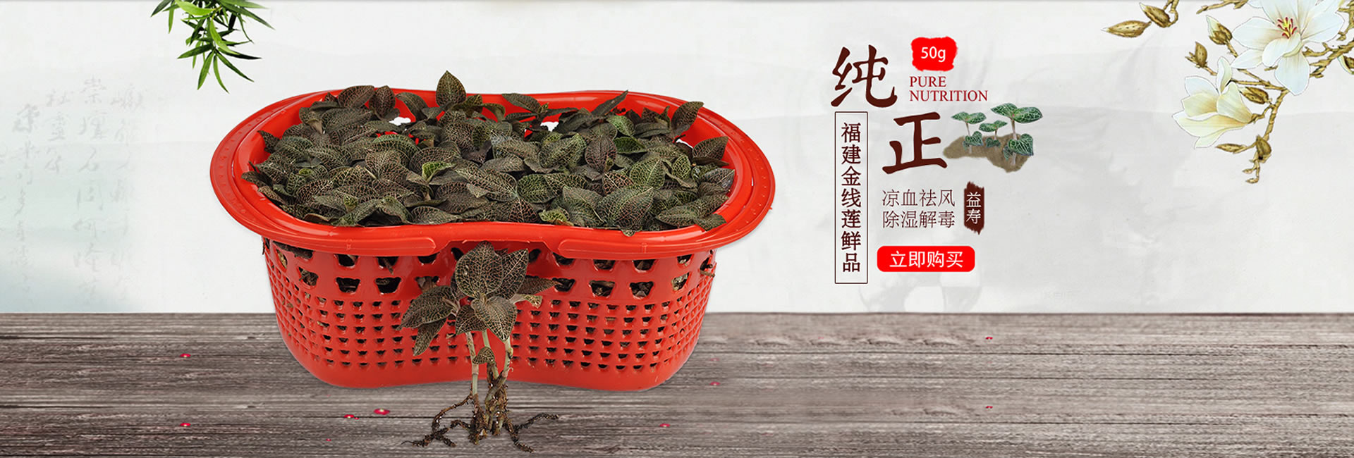 金線蓮鮮品