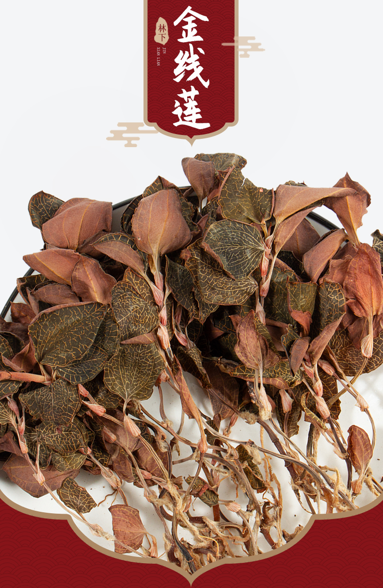 福建南靖<a href=http://www.51rn.cn/ target='_blank'>金線蓮</a>干品