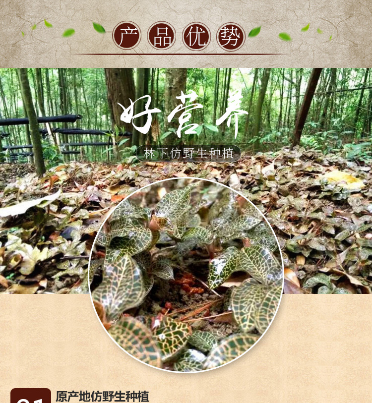 <a href=http://www.51rn.cn/ target='_blank'>金線蓮</a>干品 20克禮盒裝