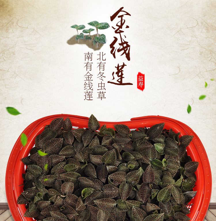 <a href=http://www.51rn.cn/ target='_blank'>金線蓮</a>鮮品 籃裝