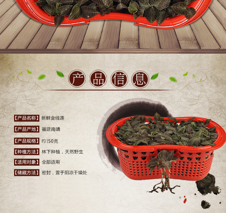 <a href=http://www.51rn.cn/ target='_blank'>金線蓮</a>鮮品 籃裝